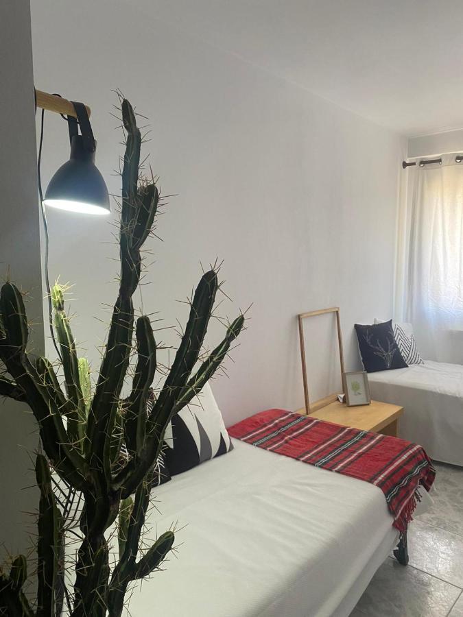 Rincon Del Cielo Apartment Castejon De Sos